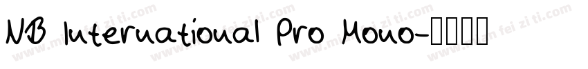 NB International Pro Mono字体转换